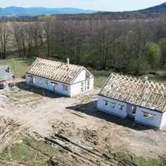 Jak wypełnić oświadczenie o właściwym zagospodarowaniu terenów przyległych bez błędów?