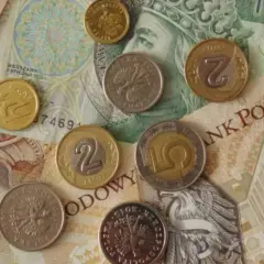 Ile zarabia radny osiedla we Wrocławiu? Zaskakujące różnice wynagrodzeń