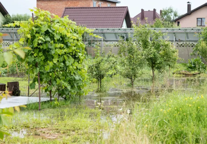 Jak znaleźć wodę na działce - skuteczne metody i porady praktyczne